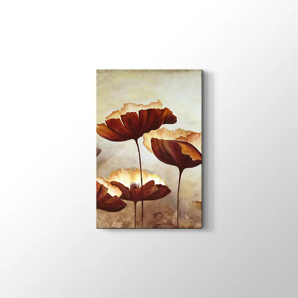 Doku Tuvali Gelincik Boyama Kanvas Tablo