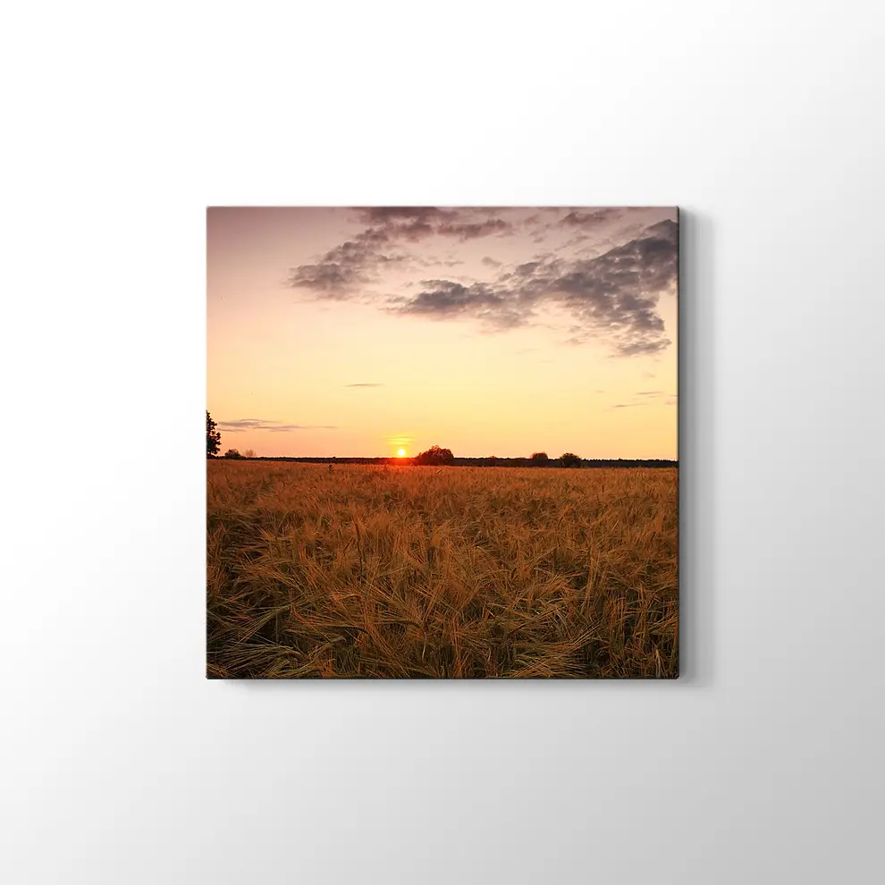 Buğday Tarlasında Günbatımı Kanvas Tablo