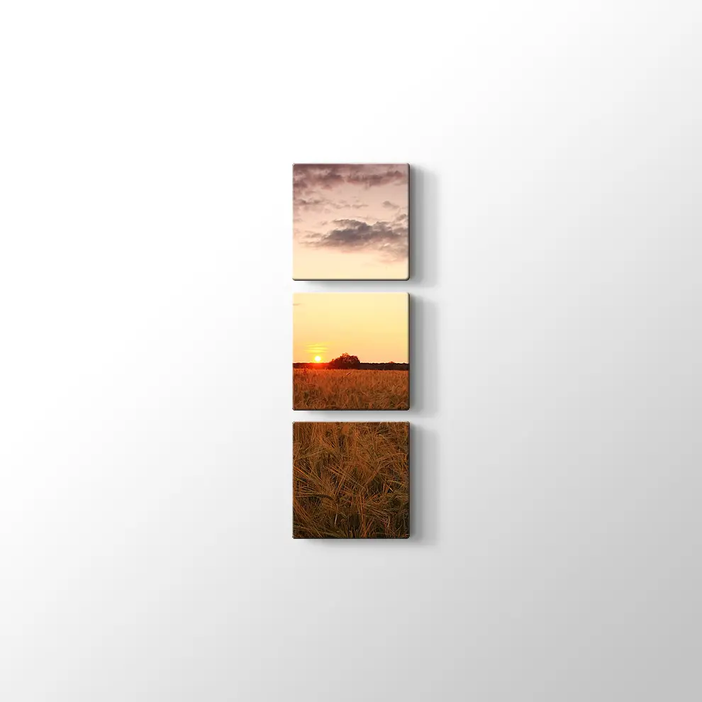 Buğday Tarlasında Günbatımı Kanvas Tablo
