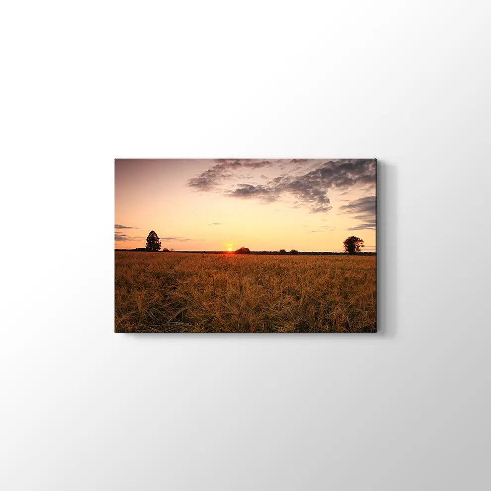Buğday Tarlasında Günbatımı Kanvas Tablo