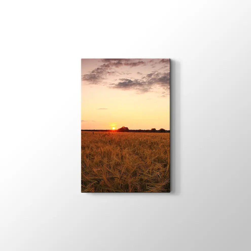 Buğday Tarlasında Günbatımı Kanvas Tablo