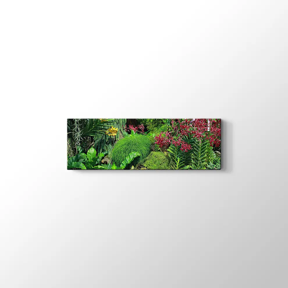 Botanik Bahçesi Kanvas Tablo