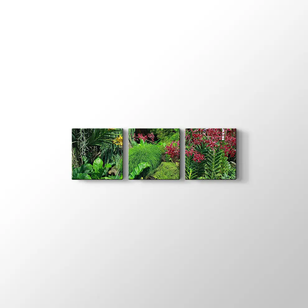 Botanik Bahçesi Kanvas Tablo