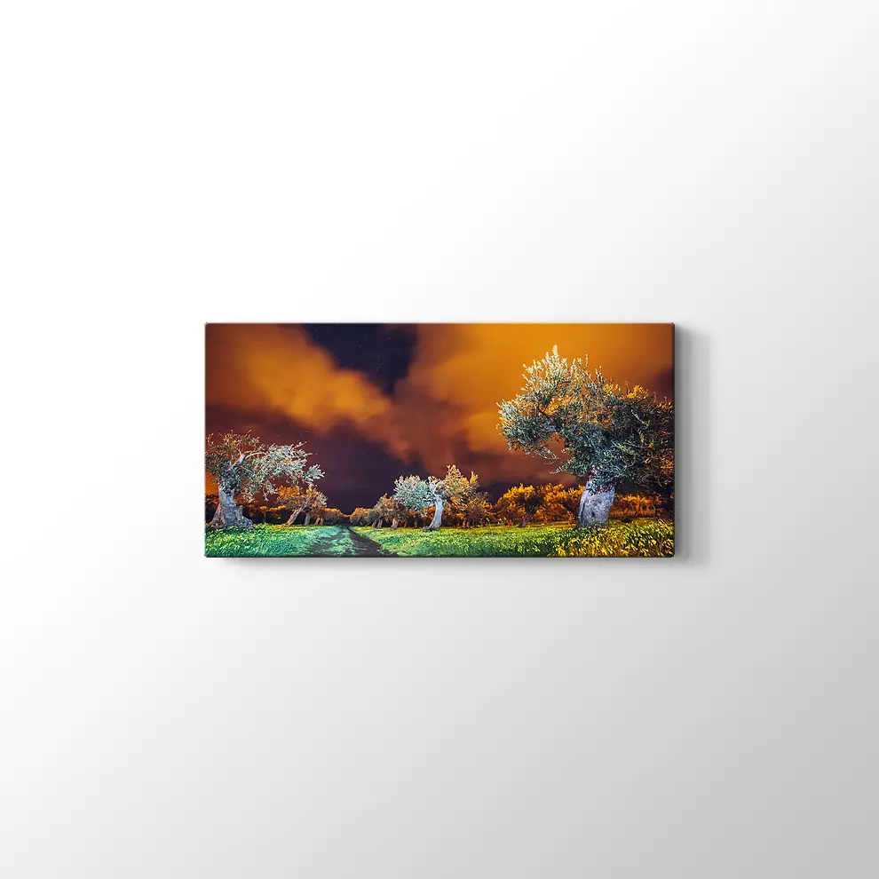 Sicilya Adası Bahçeleri Kanvas Tablo