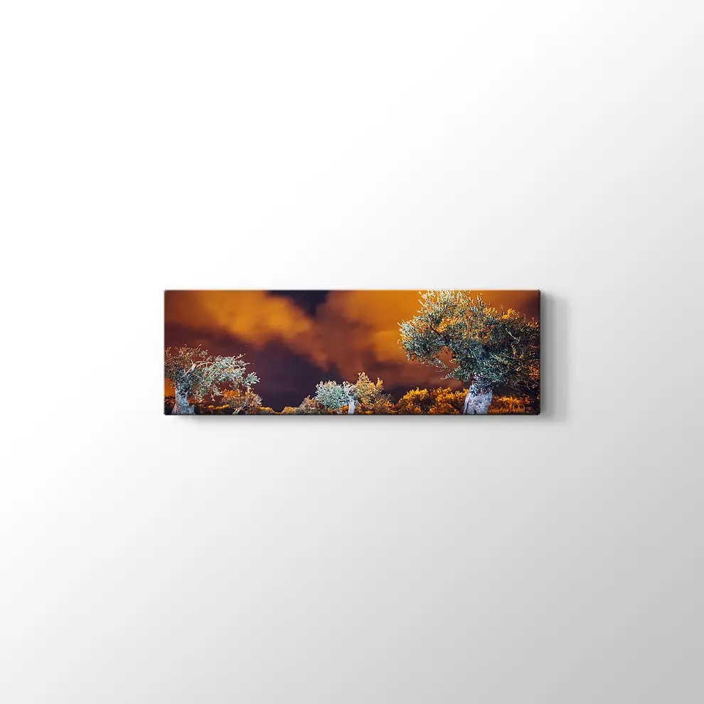 Sicilya Adası Bahçeleri Kanvas Tablo