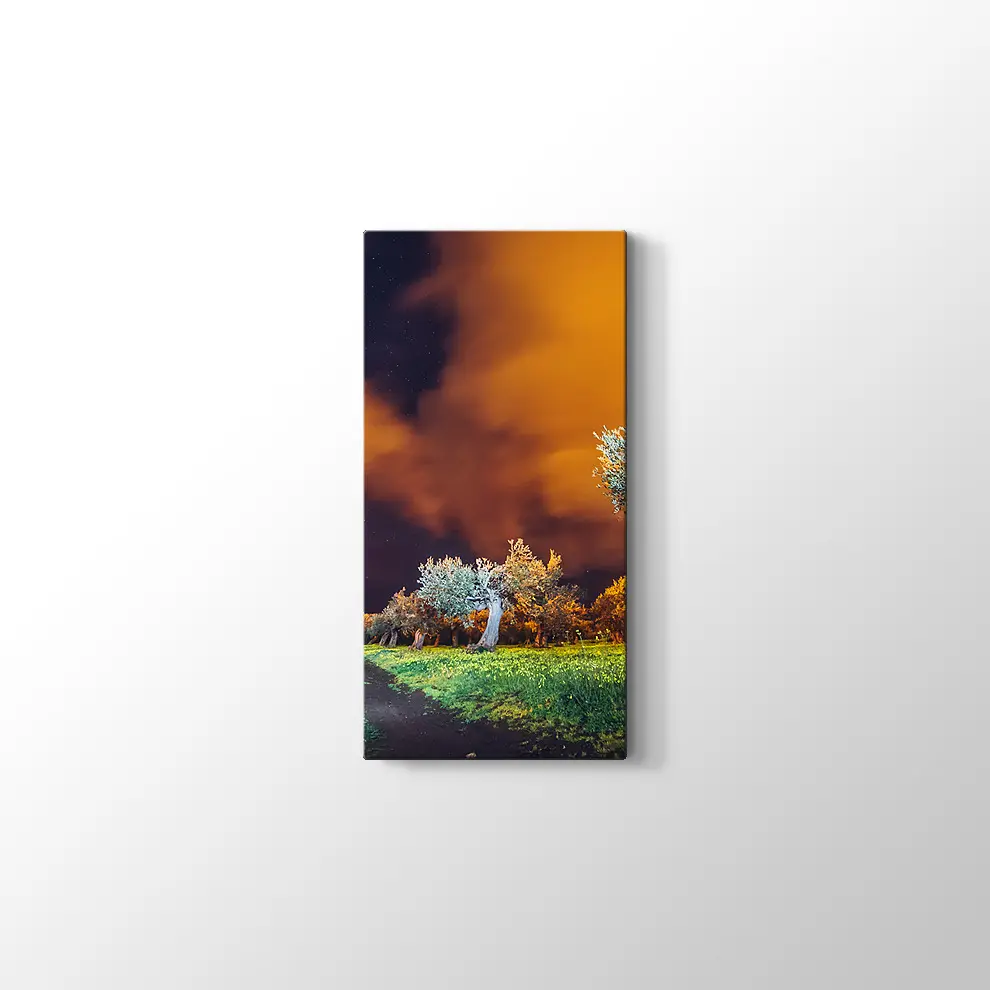 Sicilya Adası Bahçeleri Kanvas Tablo