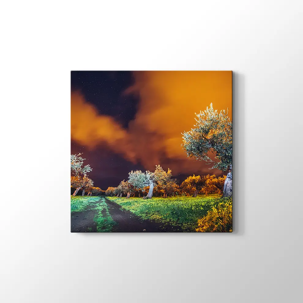 Sicilya Adası Bahçeleri Kanvas Tablo