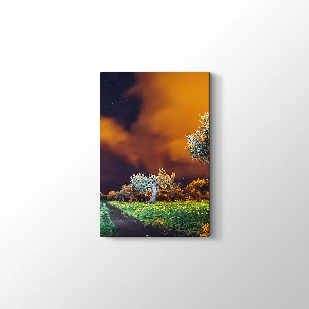 Sicilya Adası Bahçeleri Kanvas Tablo