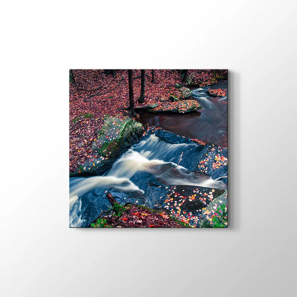 Sonbahar Yaprakları ve Şelale Kanvas Tablo