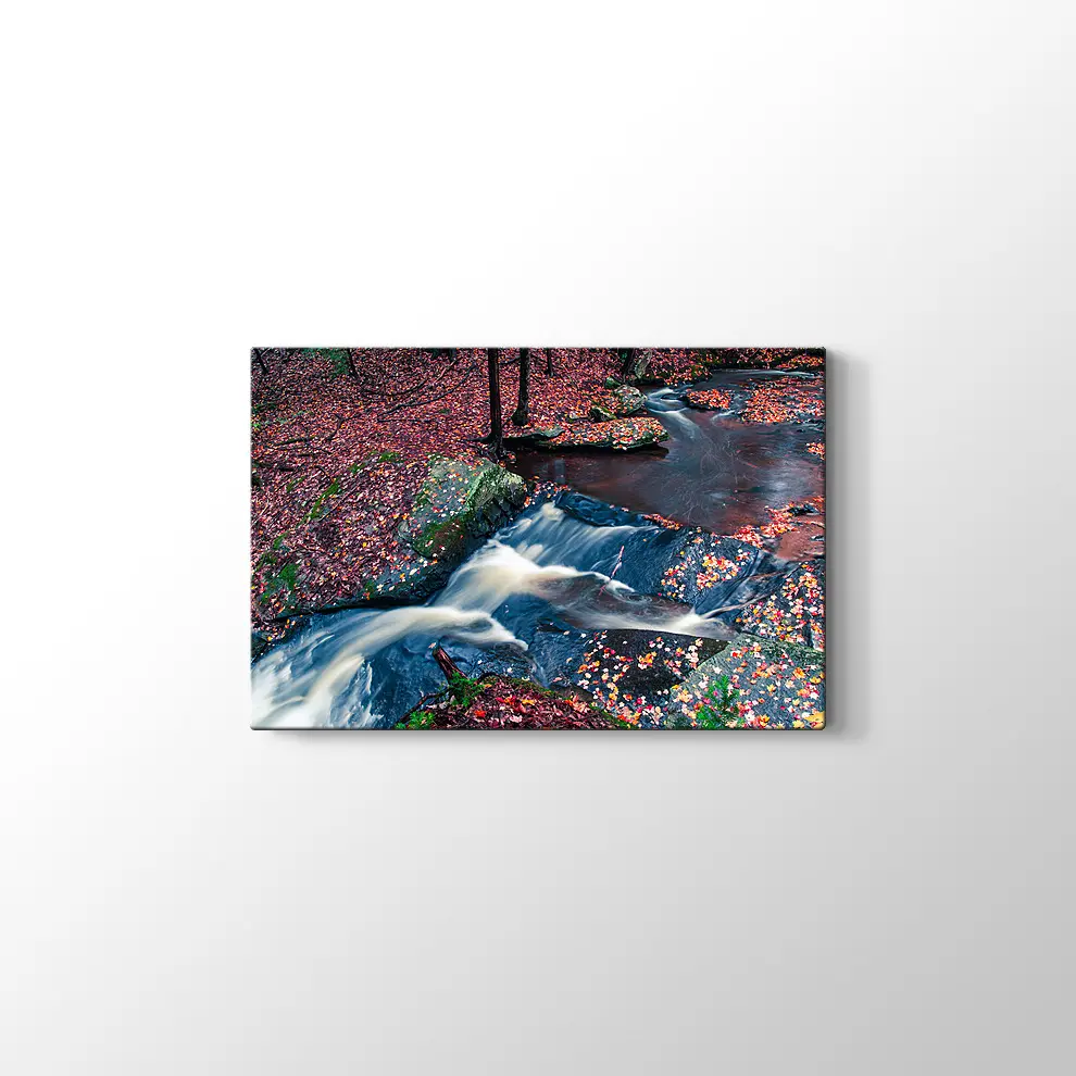 Sonbahar Yaprakları ve Şelale Kanvas Tablo
