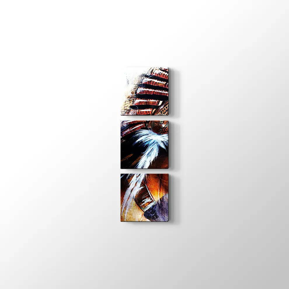 Kızıldereli Kadın Tablo