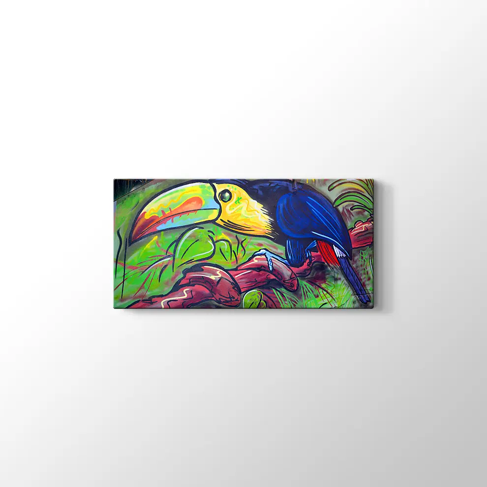 Sokak Sanatı Komik Tucan Kanvas Tablo