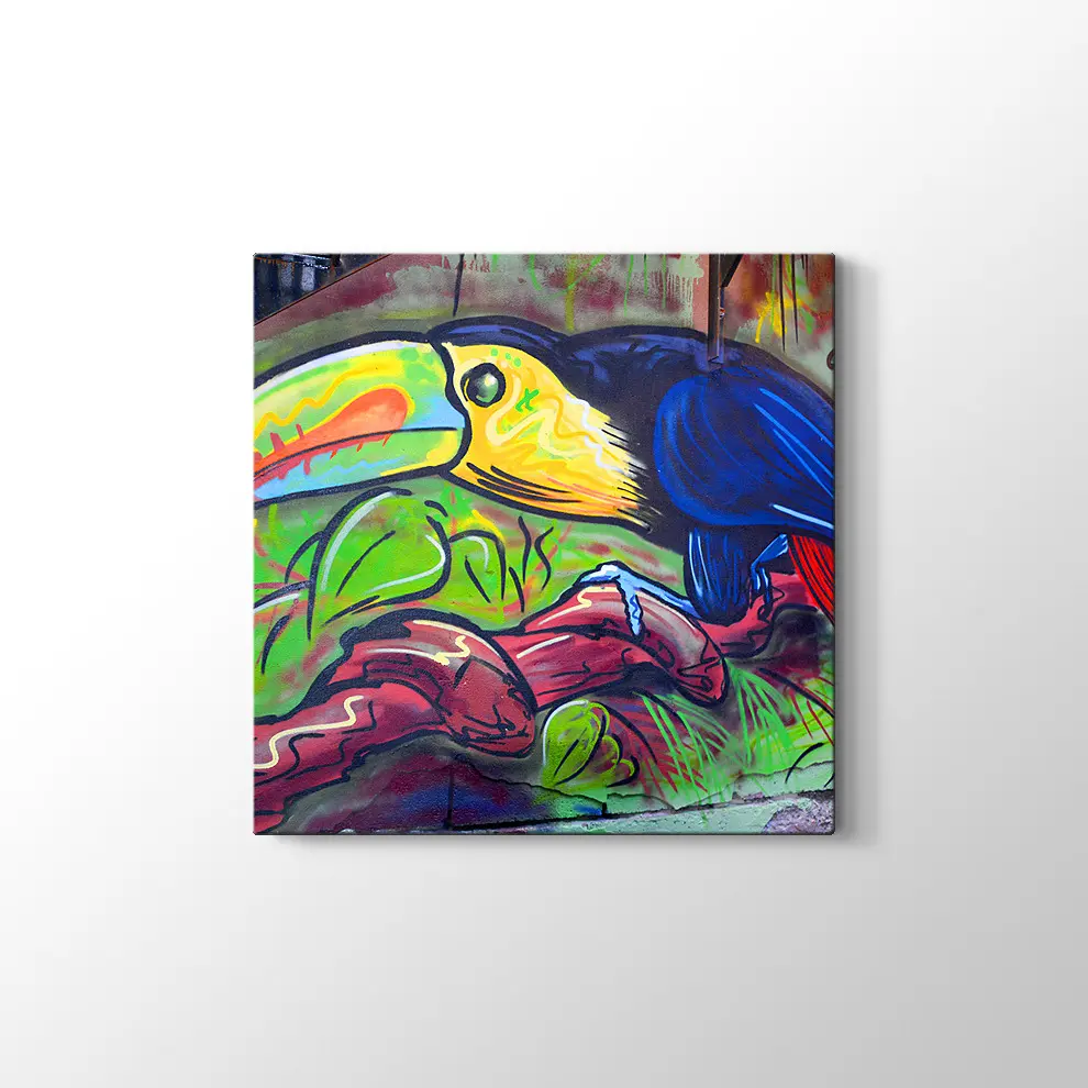 Sokak Sanatı Komik Tucan Kanvas Tablo
