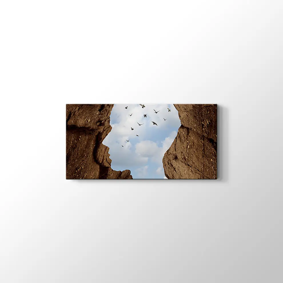 İnsan Kafası Şeklinde Kayalık Kanvas Tablo