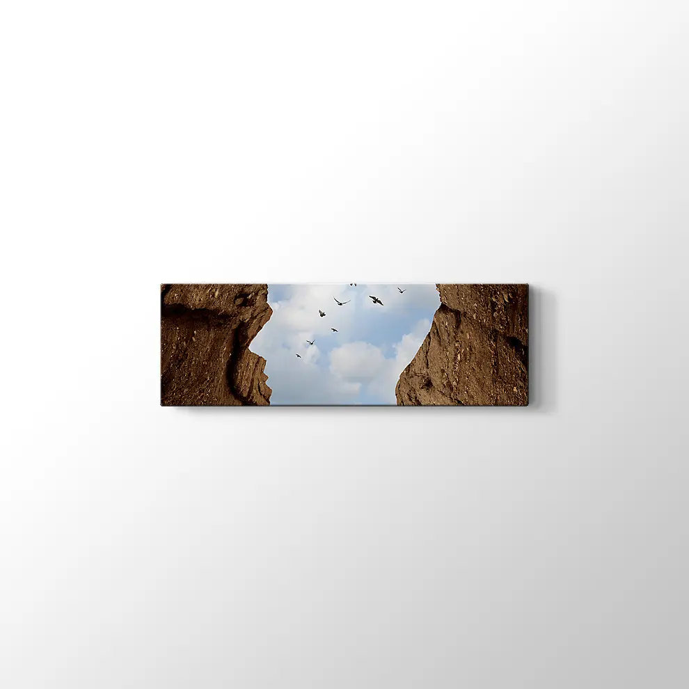 İnsan Kafası Şeklinde Kayalık Kanvas Tablo