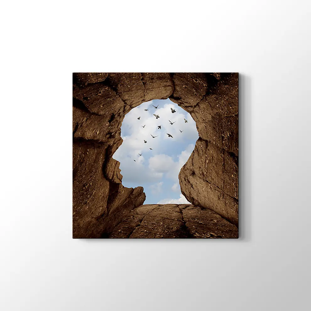 İnsan Kafası Şeklinde Kayalık Kanvas Tablo