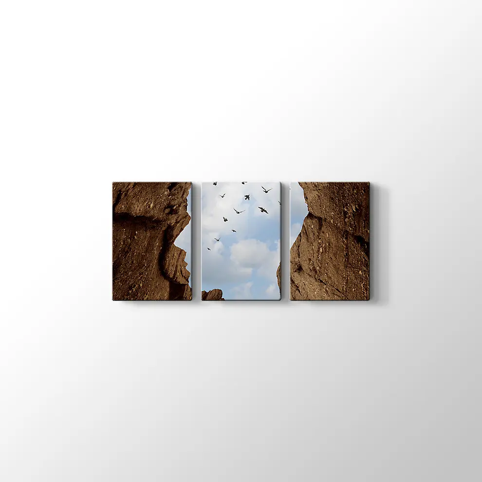 İnsan Kafası Şeklinde Kayalık Kanvas Tablo