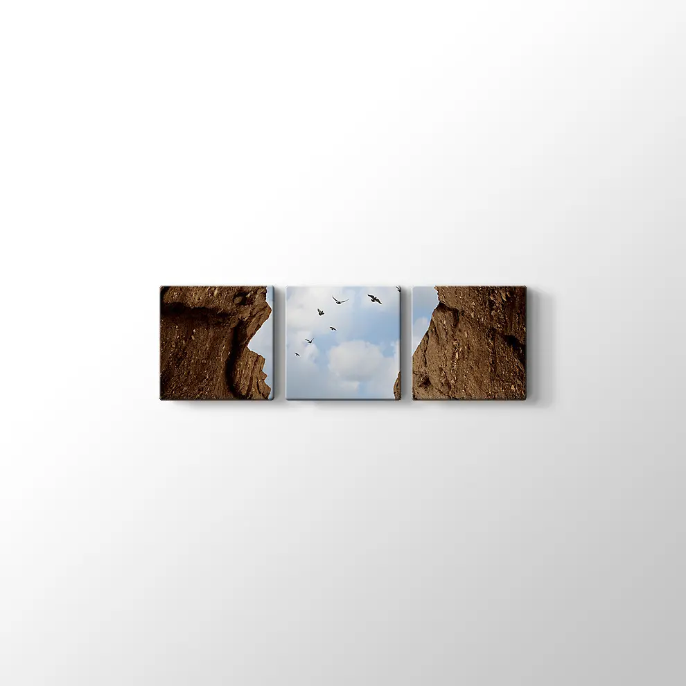 İnsan Kafası Şeklinde Kayalık Kanvas Tablo