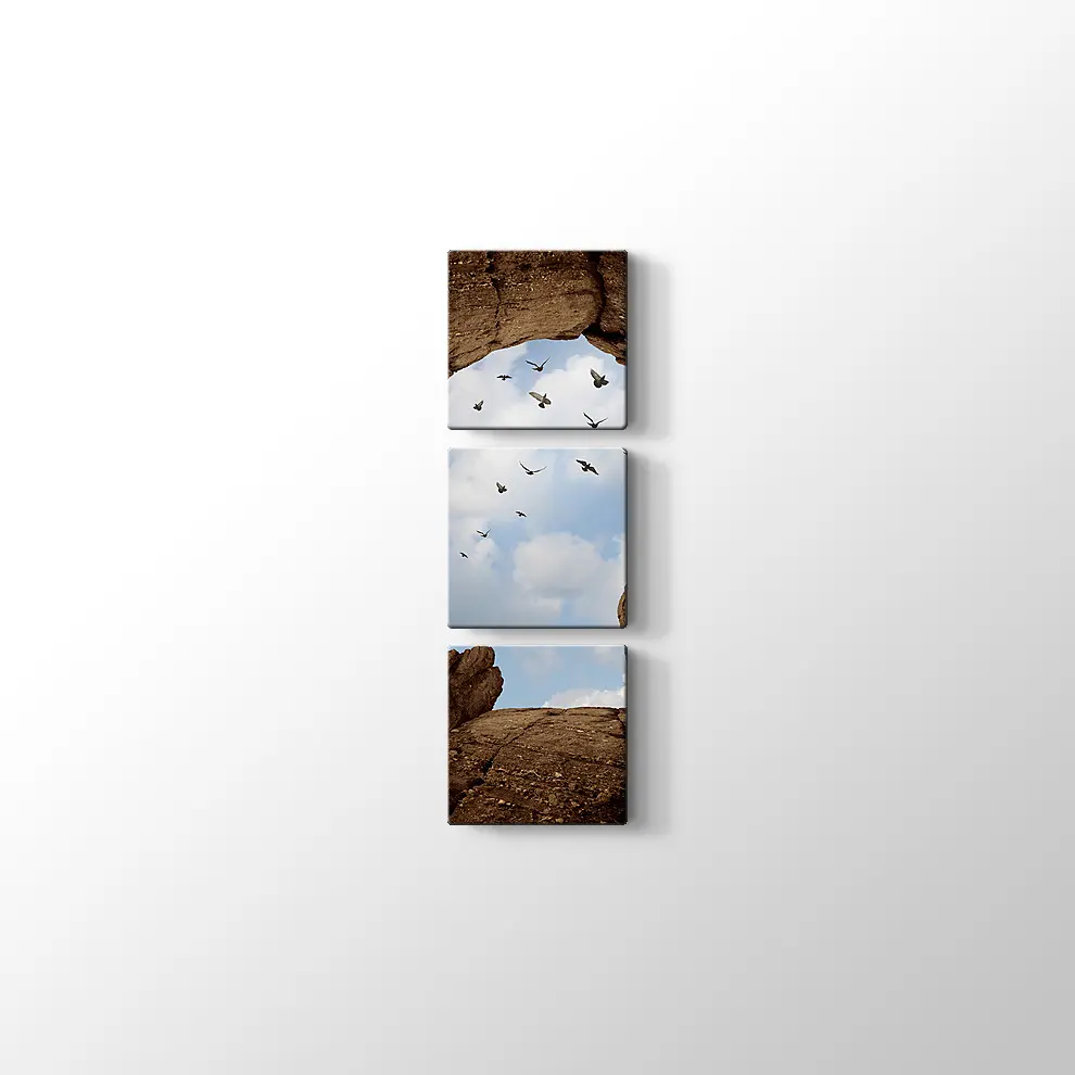 İnsan Kafası Şeklinde Kayalık Kanvas Tablo