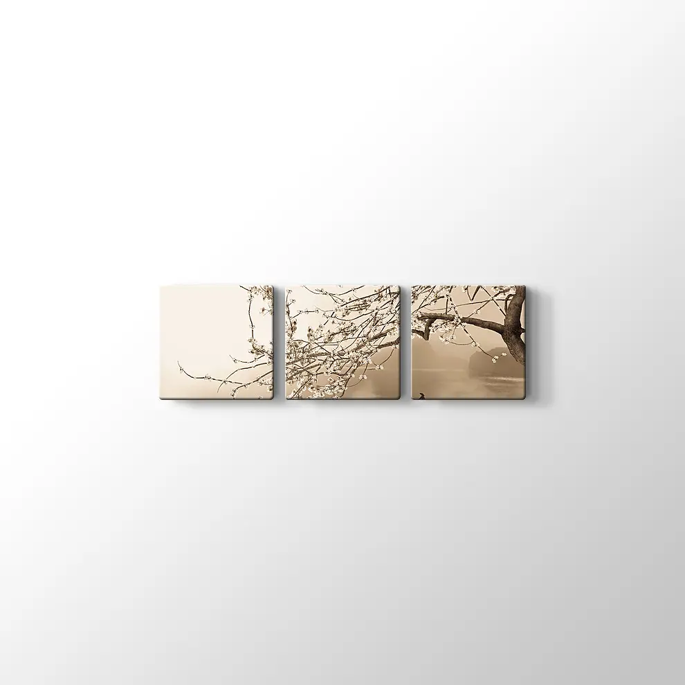 Japon Çiçeği Ağacı Kanvas Tablo