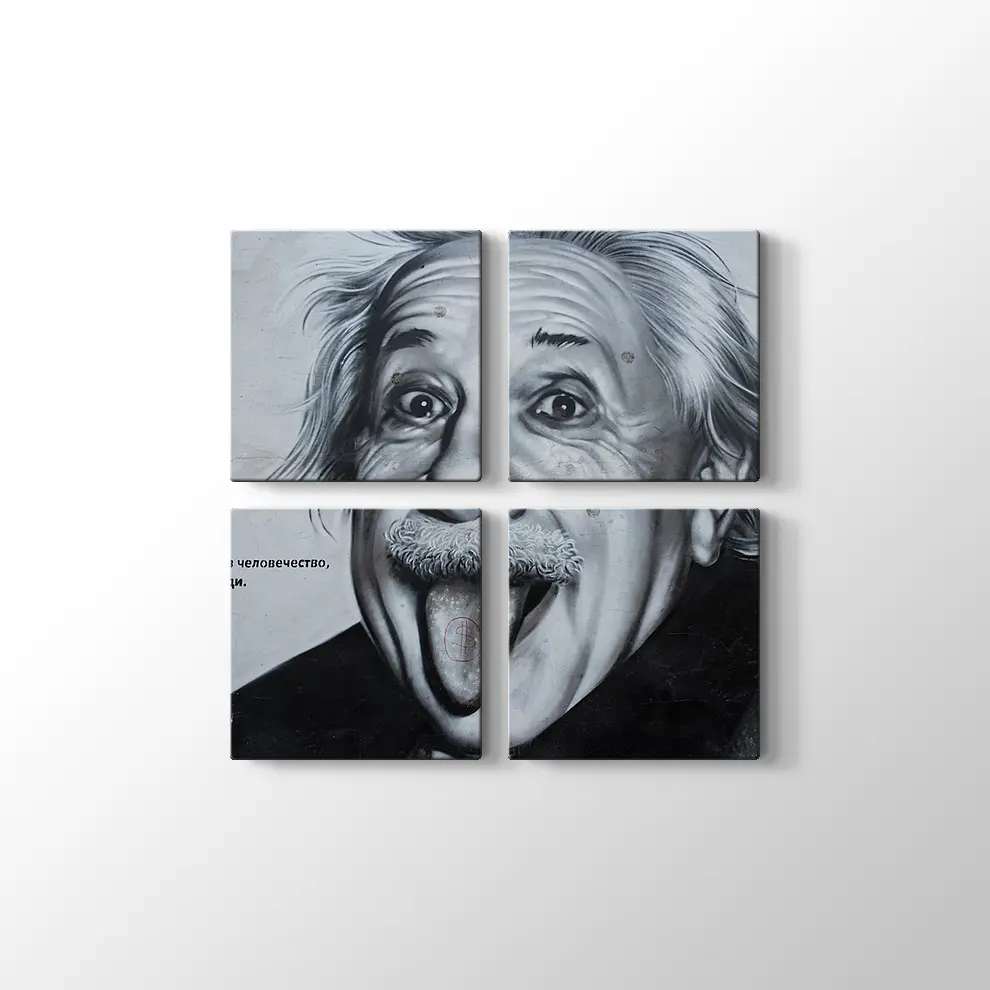 Albert Einstein Kanvas Tablo