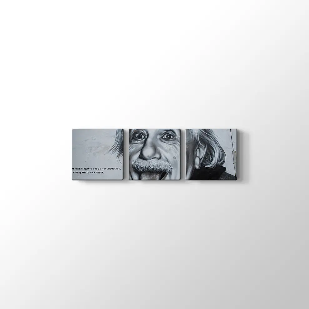 Albert Einstein Kanvas Tablo