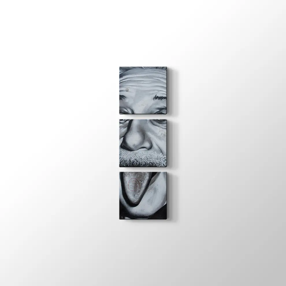 Albert Einstein Kanvas Tablo