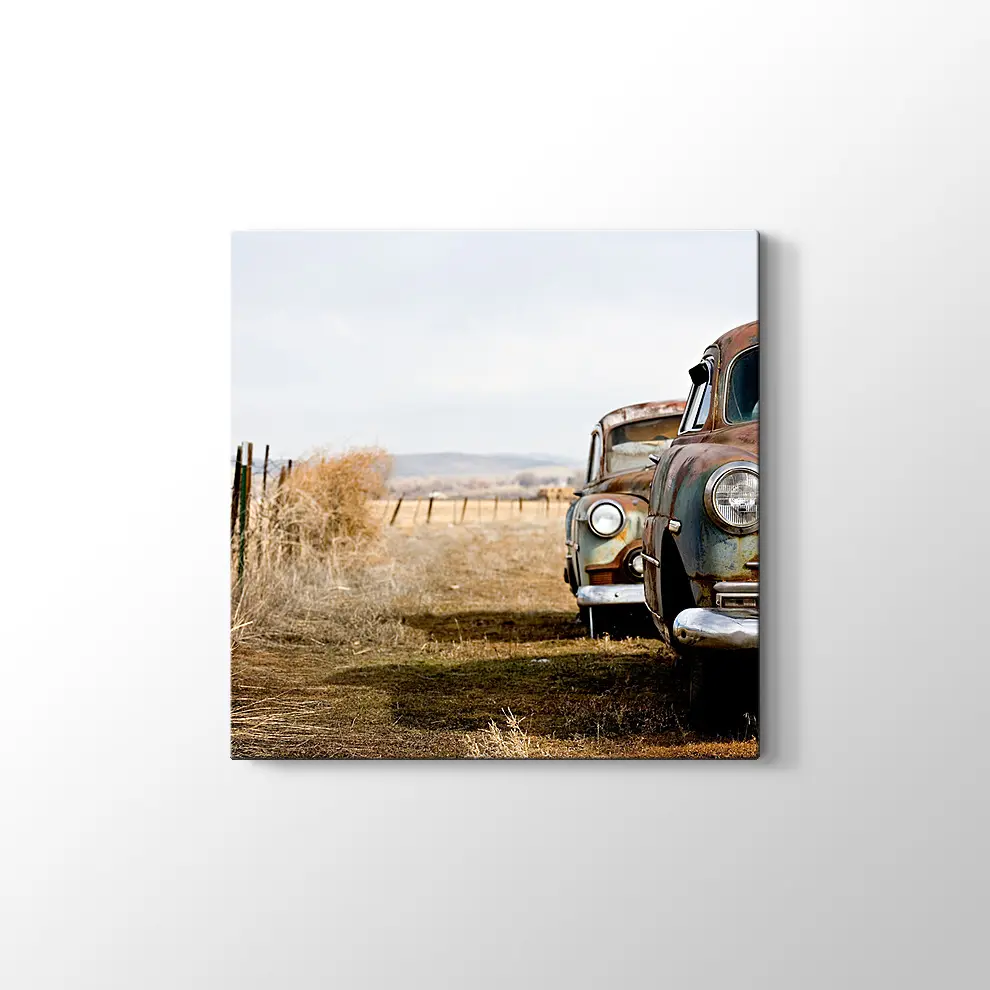 Terkedilmiş Klasikler Kanvas Tablo