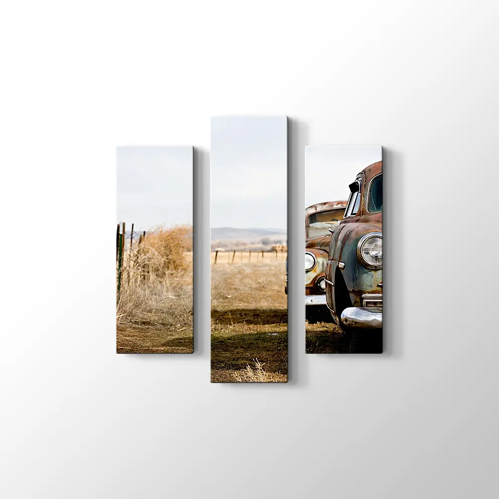 Terkedilmiş Klasikler Kanvas Tablo