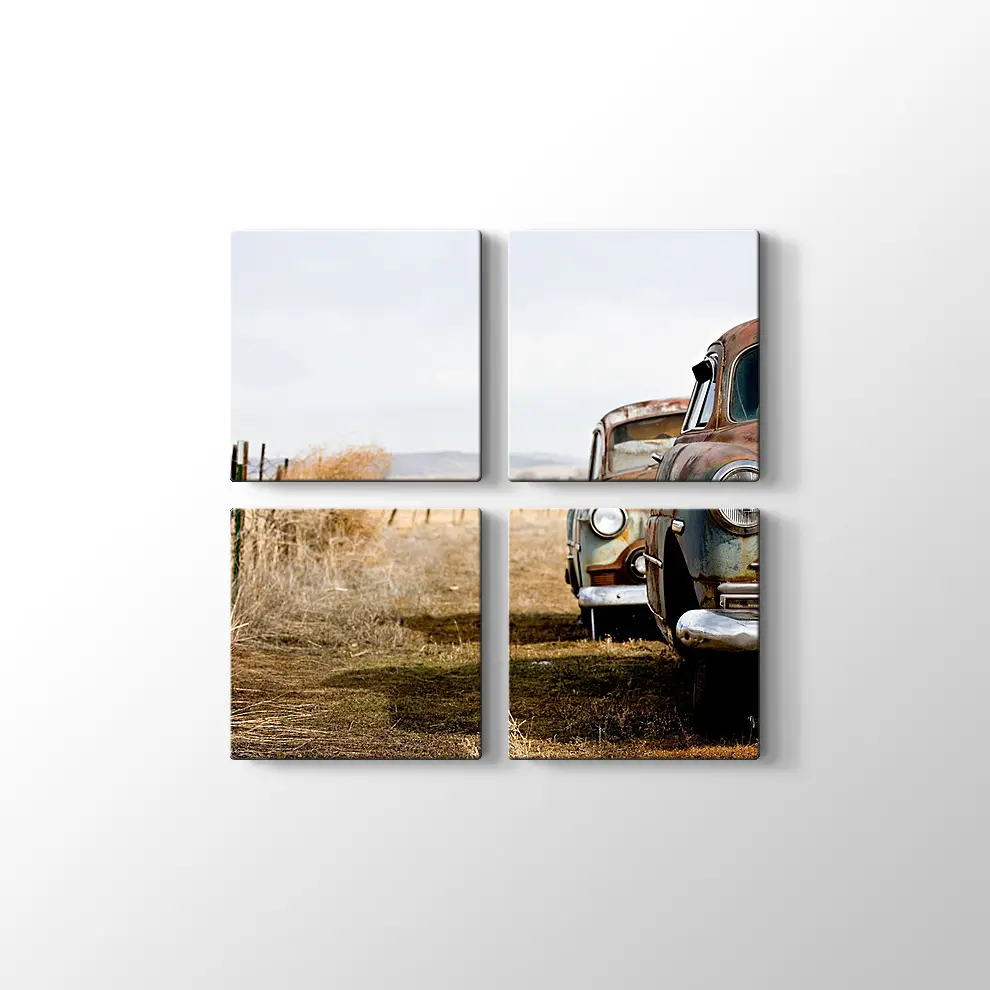 Terkedilmiş Klasikler Kanvas Tablo