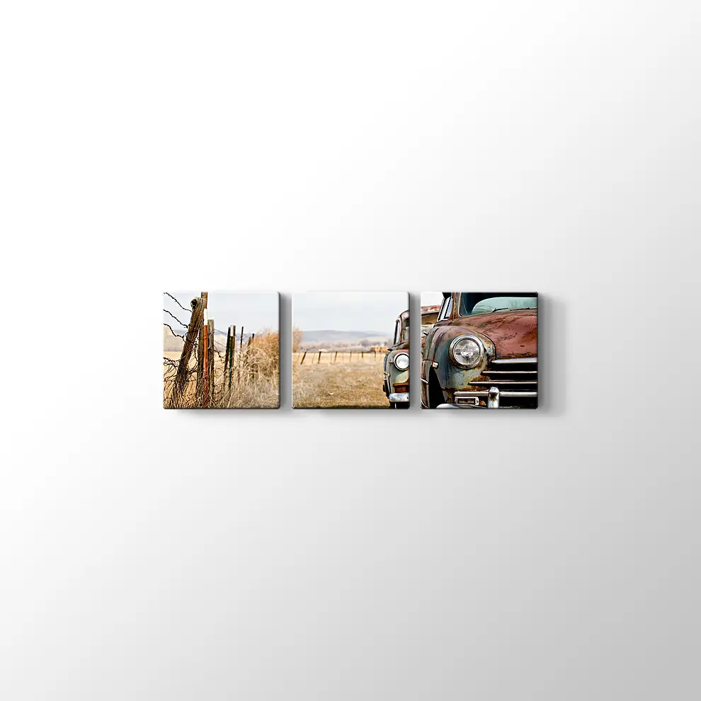 Terkedilmiş Klasikler Kanvas Tablo