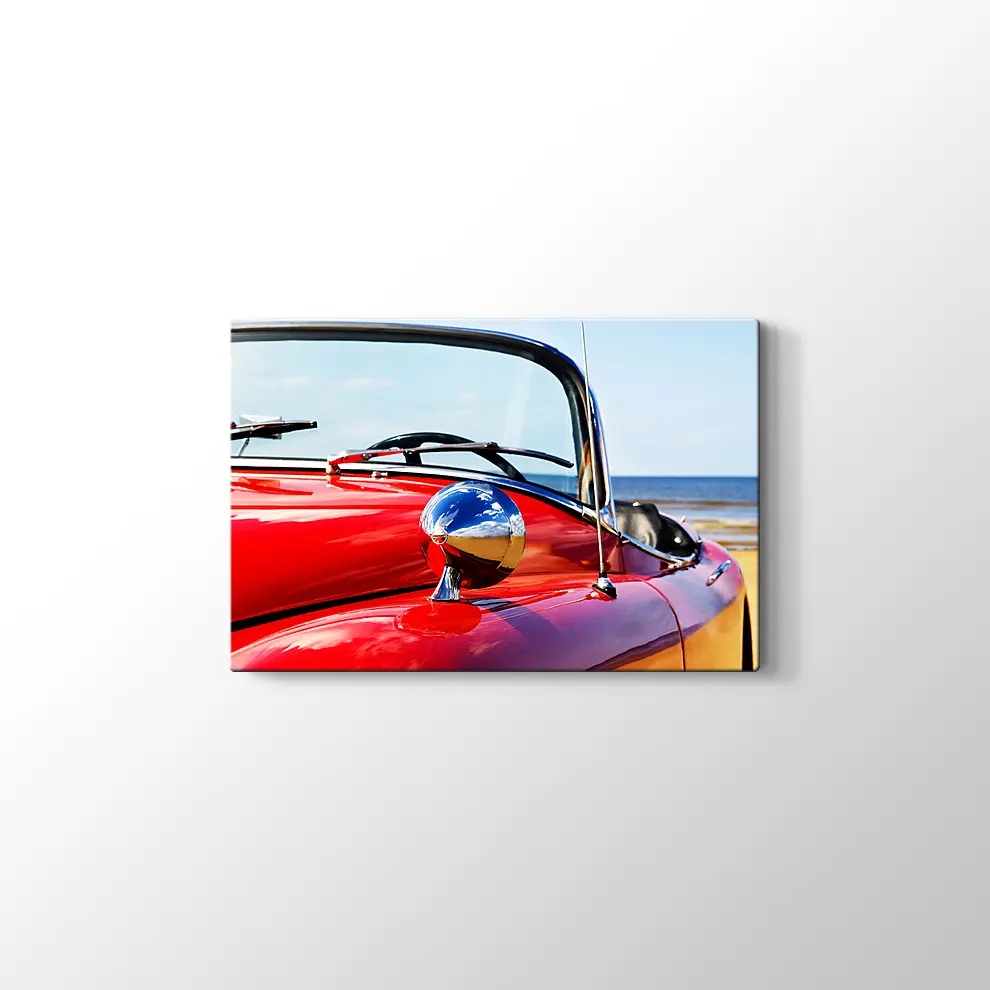 Kırmızı Jaguar Kanvas Tablo