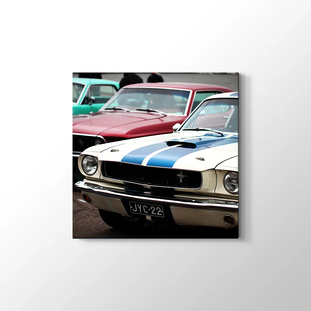 1966 Ford Mustang Fastback GT ve 1969 Ford Mustang Mach Kanvas Tablo