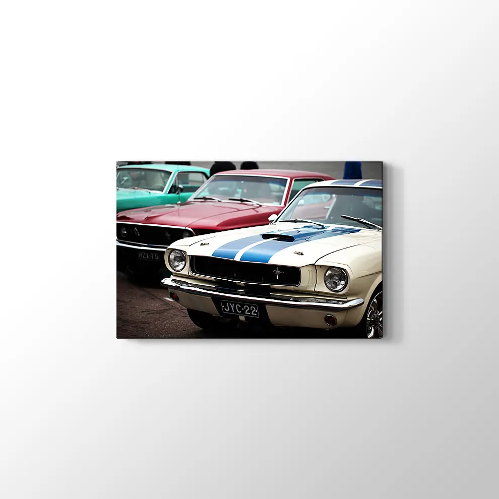 1966 Ford Mustang Fastback GT ve 1969 Ford Mustang Mach Kanvas Tablo