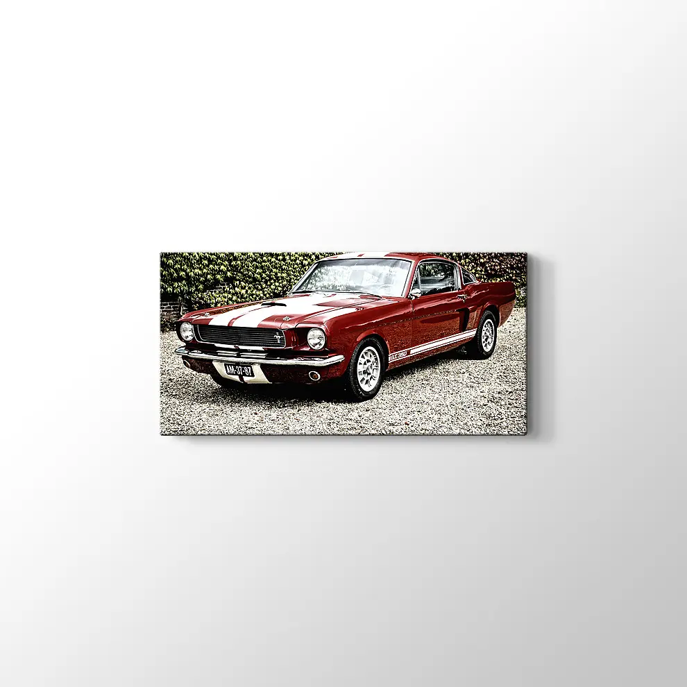 Ford Mustang Shelby GT 350 Kanvas Tablo
