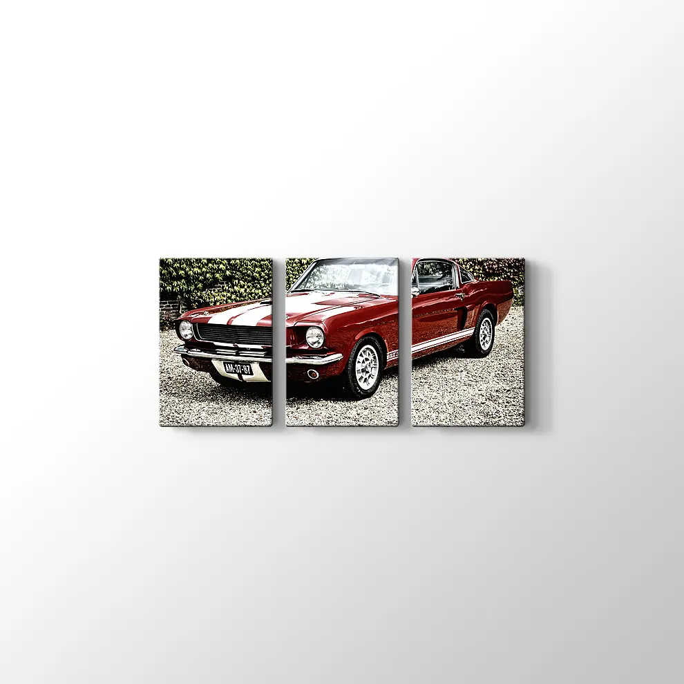 Ford Mustang Shelby GT 350 Kanvas Tablo