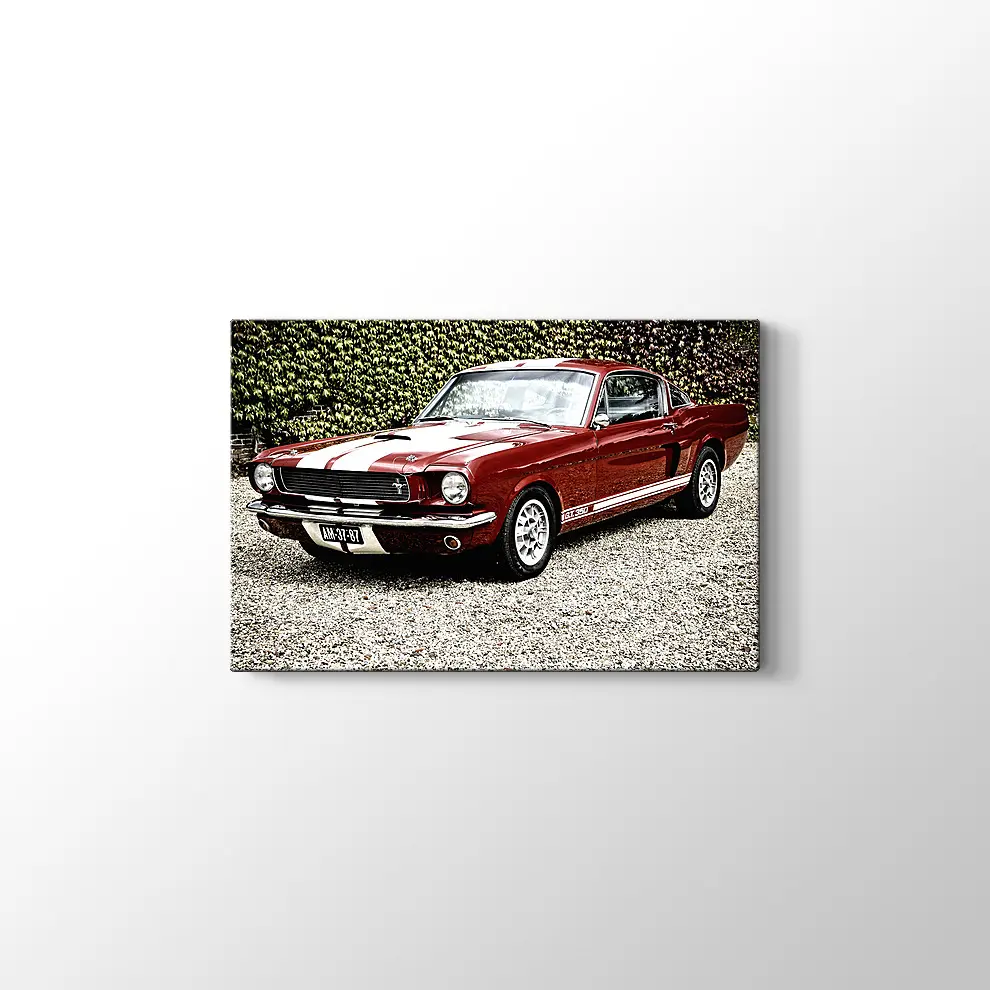 Ford Mustang Shelby GT 350 Kanvas Tablo