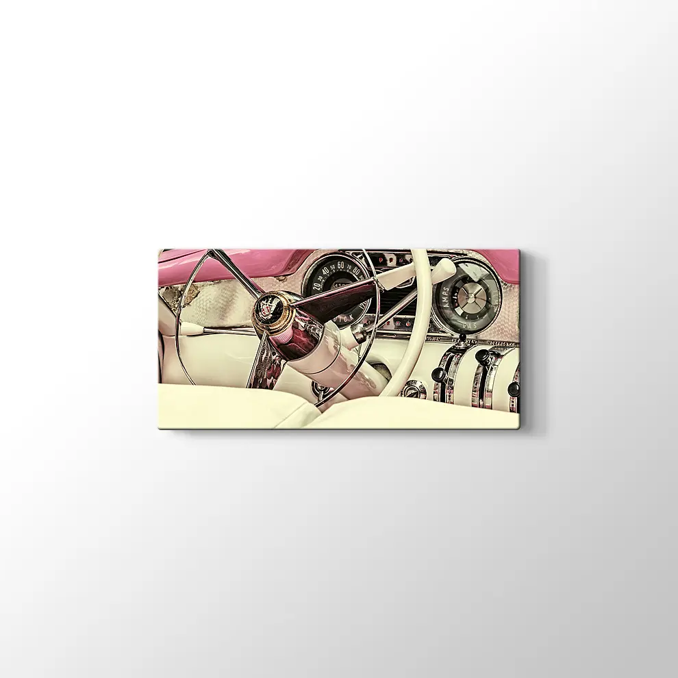 1973 Buick Century Kanvas Tablo