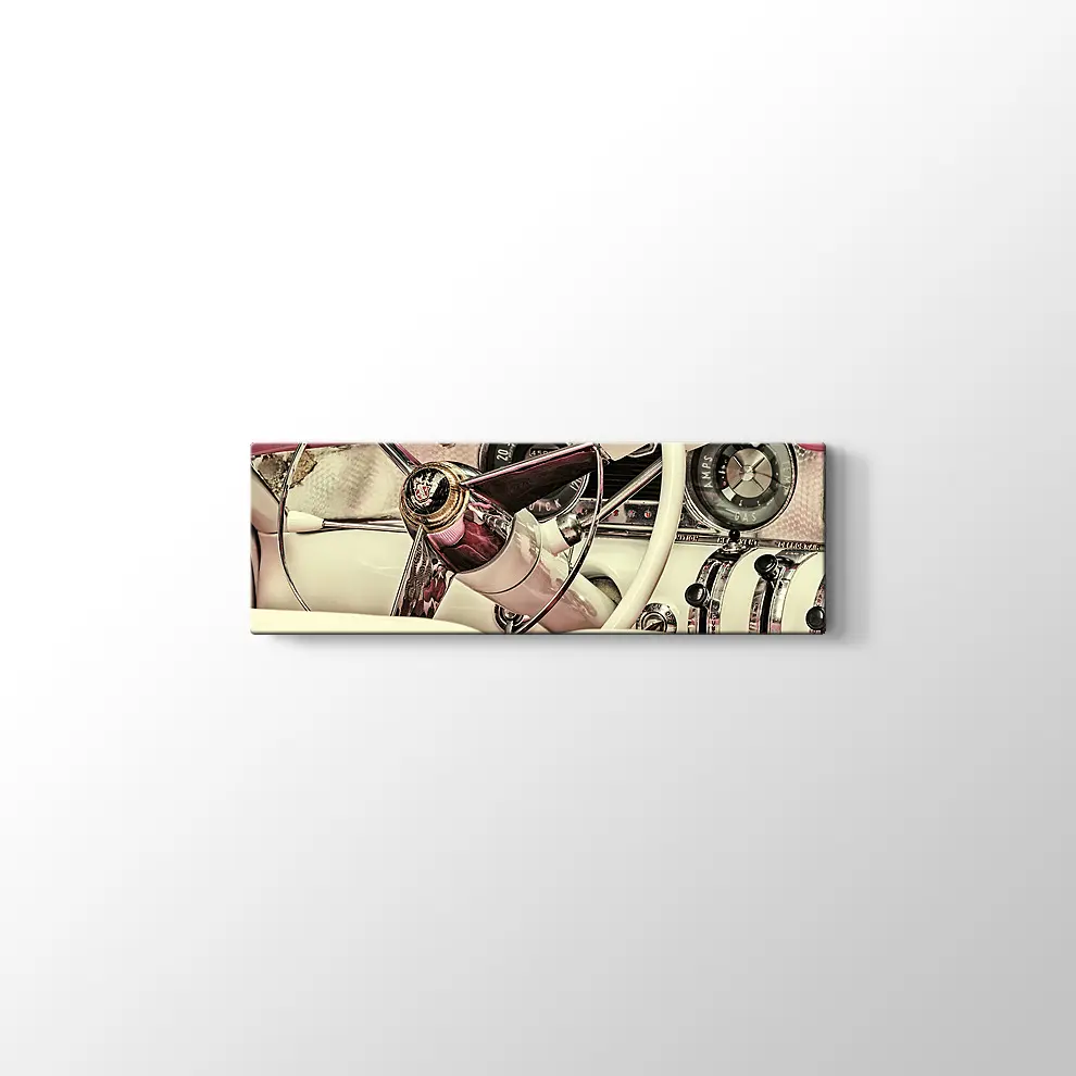 1973 Buick Century Kanvas Tablo
