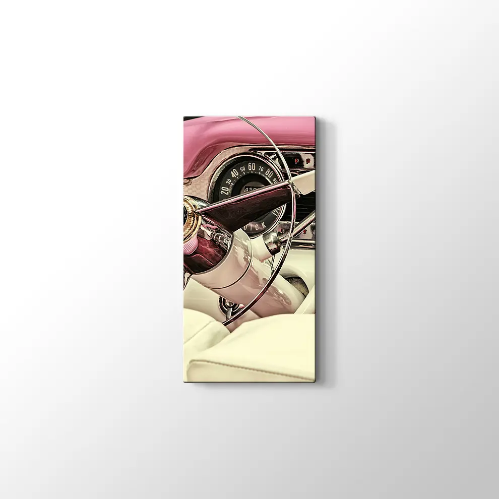 1973 Buick Century Kanvas Tablo