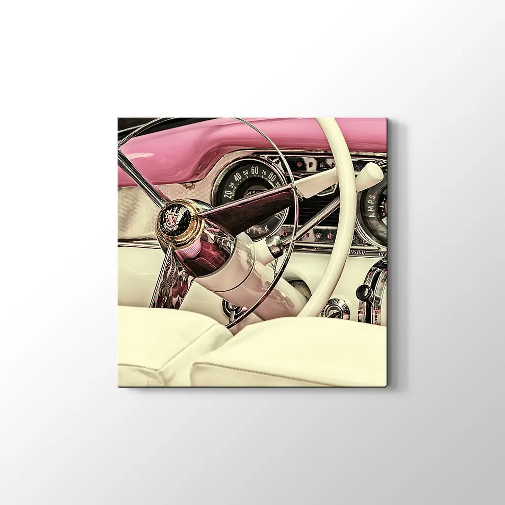 1973 Buick Century Kanvas Tablo