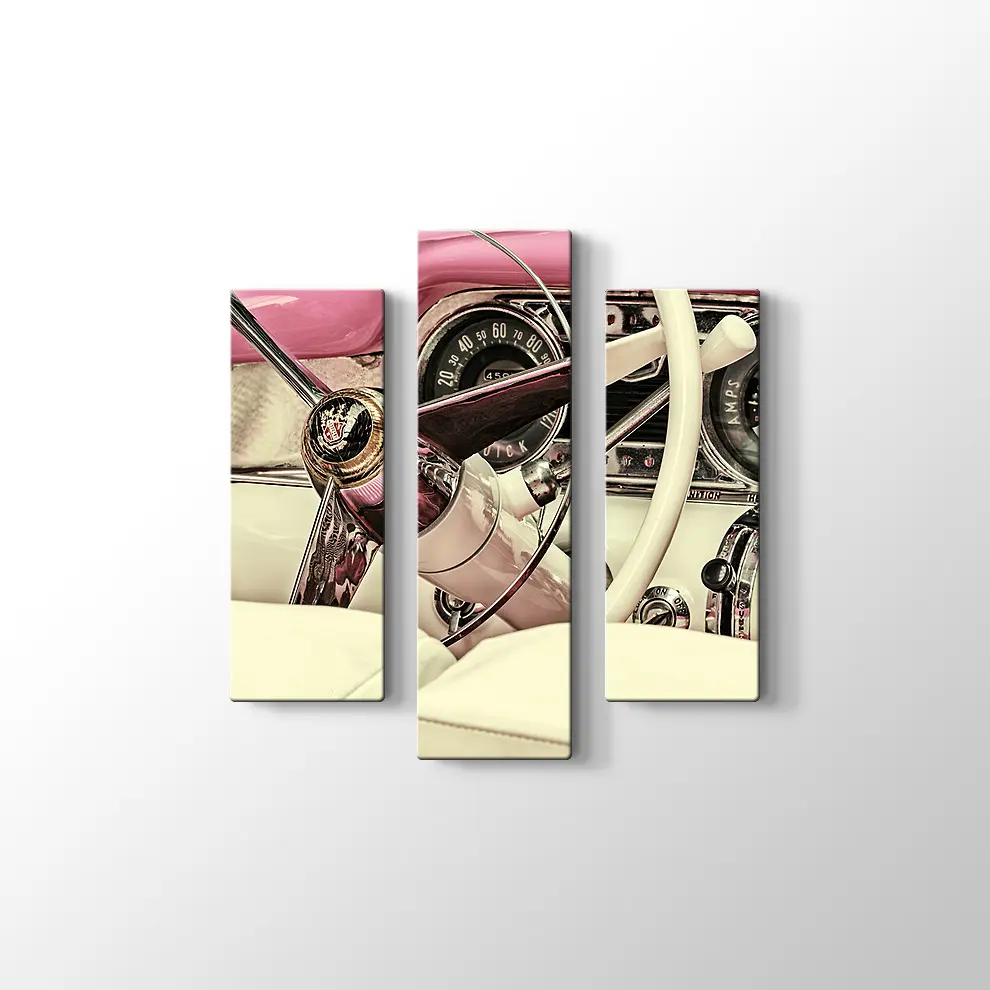 1973 Buick Century Kanvas Tablo