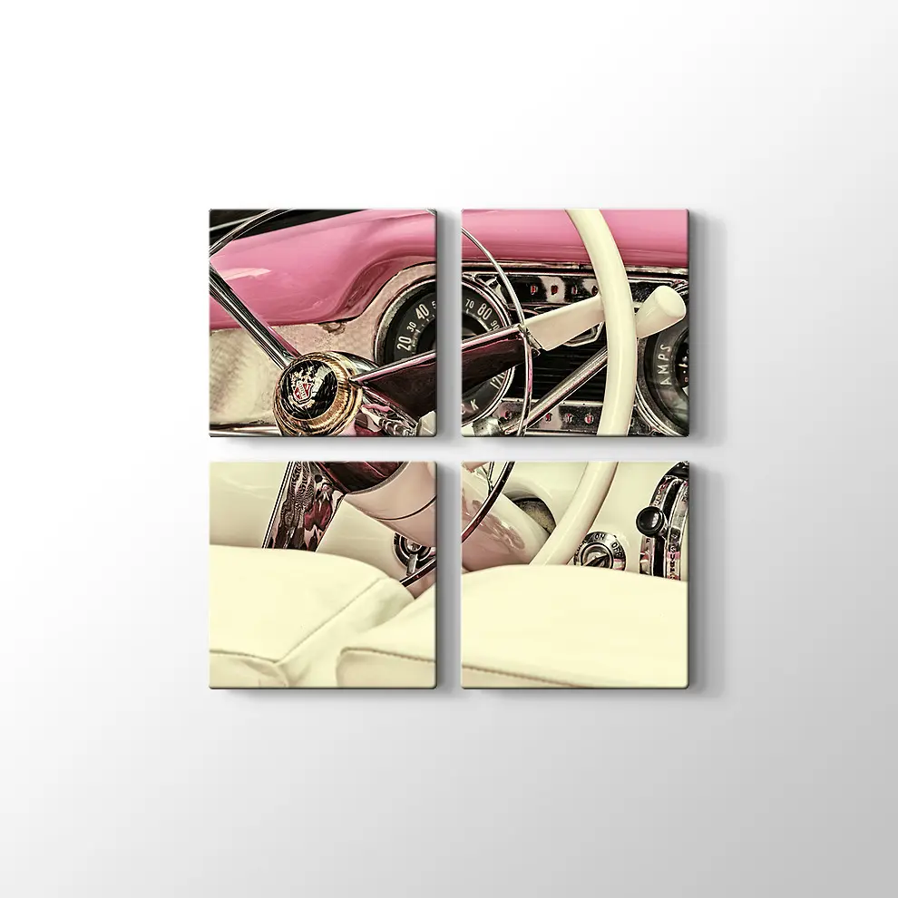 1973 Buick Century Kanvas Tablo