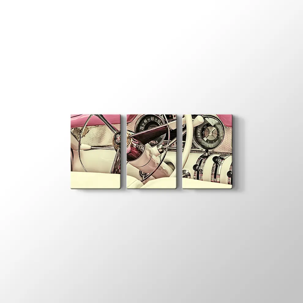 1973 Buick Century Kanvas Tablo