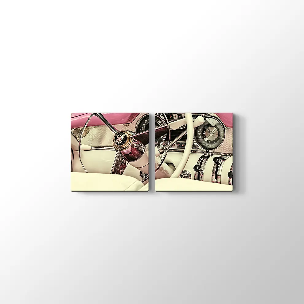 1973 Buick Century Kanvas Tablo