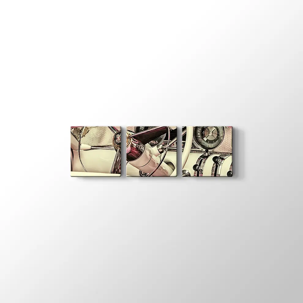 1973 Buick Century Kanvas Tablo