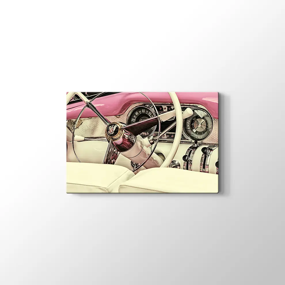 1973 Buick Century Kanvas Tablo