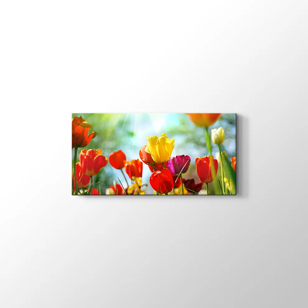Gün Işığında Lale Bahçesi Kanvas Tablo
