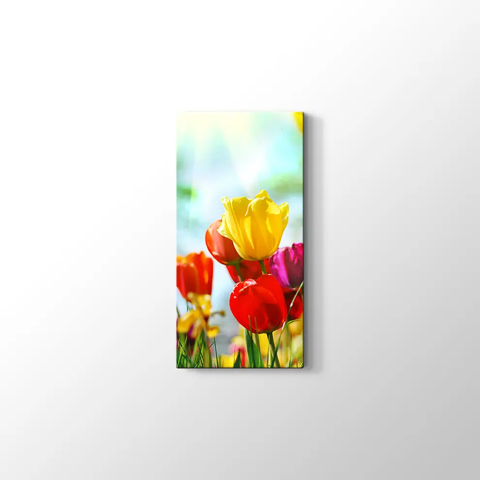 Gün Işığında Lale Bahçesi Kanvas Tablo
