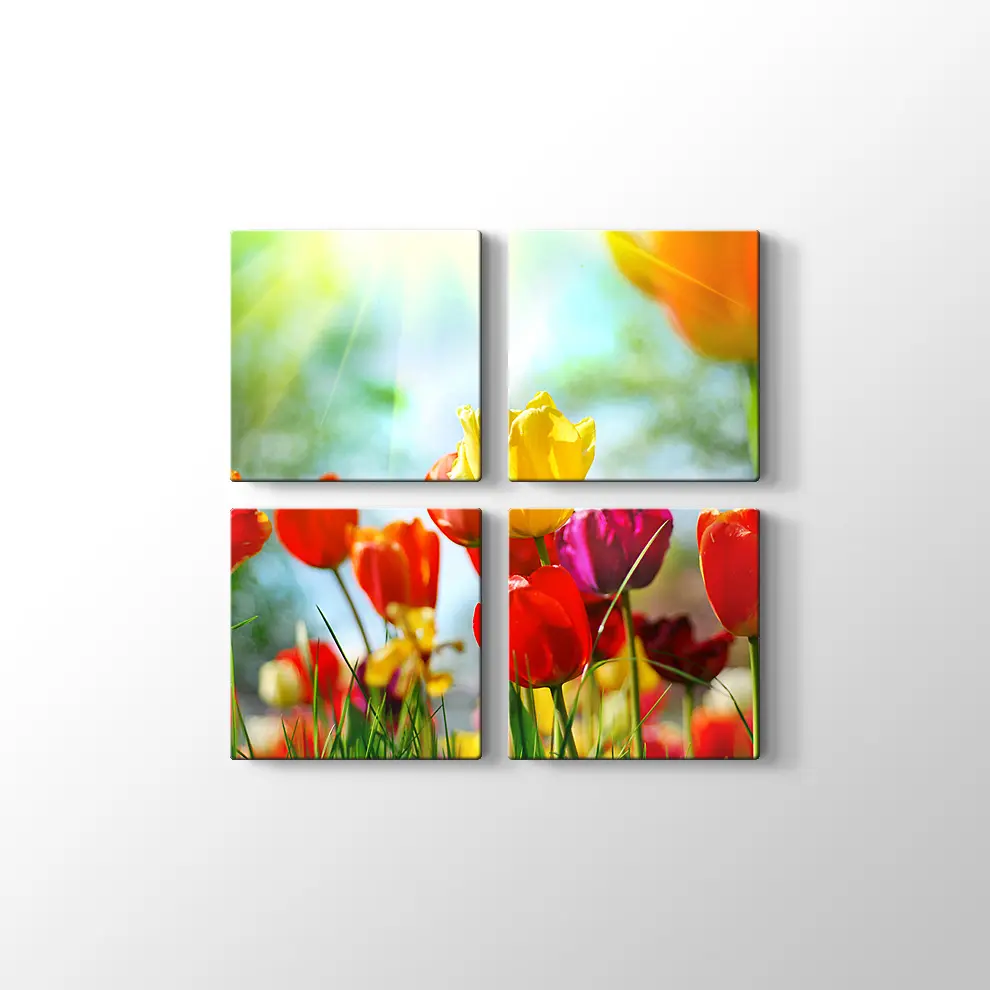 Gün Işığında Lale Bahçesi Kanvas Tablo